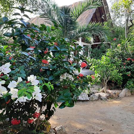 Esencial Tulum Ξενοδοχείο Εξωτερικό φωτογραφία