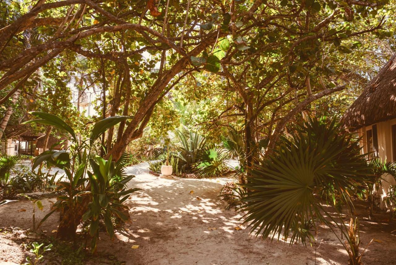 Esencial Tulum Ξενοδοχείο Εξωτερικό φωτογραφία