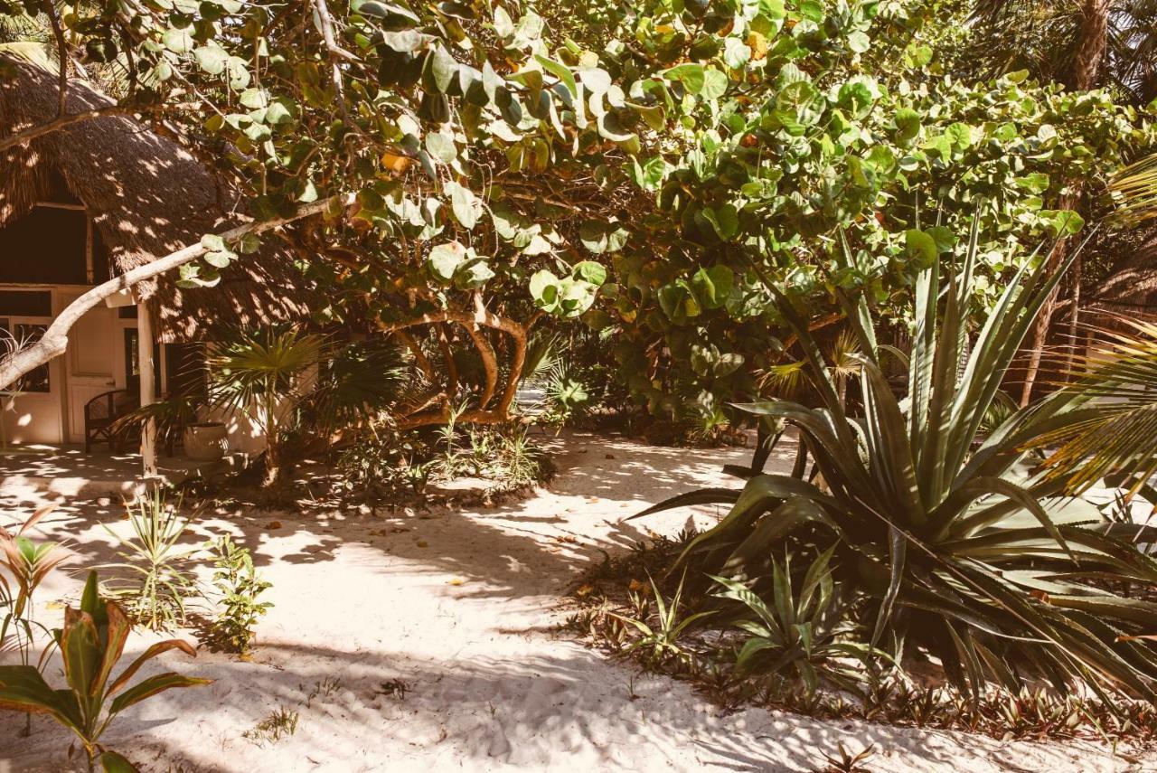 Esencial Tulum Ξενοδοχείο Εξωτερικό φωτογραφία