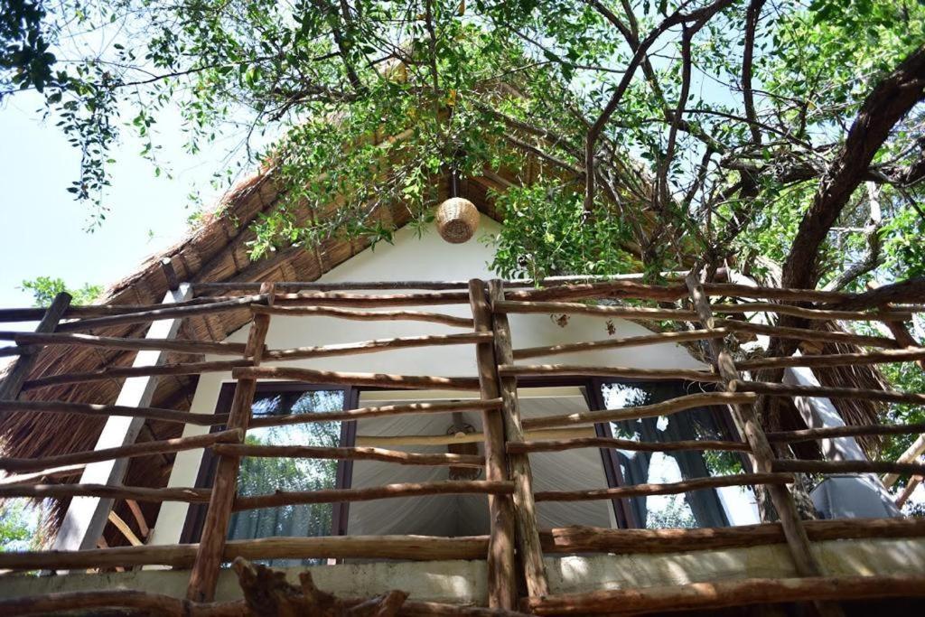 Esencial Tulum Ξενοδοχείο Εξωτερικό φωτογραφία