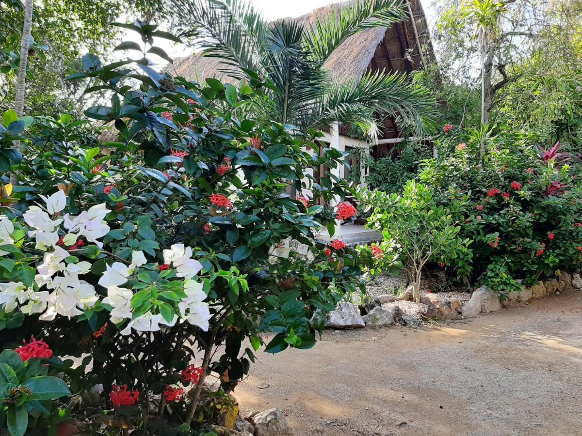 Esencial Tulum Ξενοδοχείο Εξωτερικό φωτογραφία