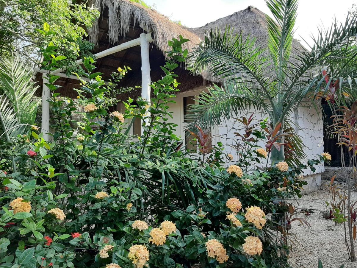 Esencial Tulum Ξενοδοχείο Εξωτερικό φωτογραφία